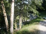 PICT0096
