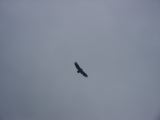 PICT0045