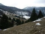 PICT0122