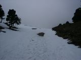 PICT0131