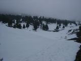 PICT0133