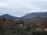 PICT0017
